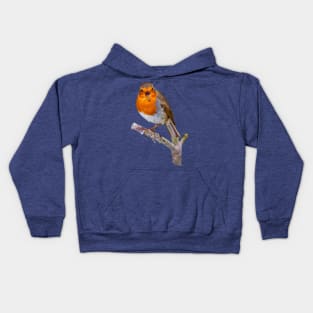 Robin red-breast singing for his supper Kids Hoodie